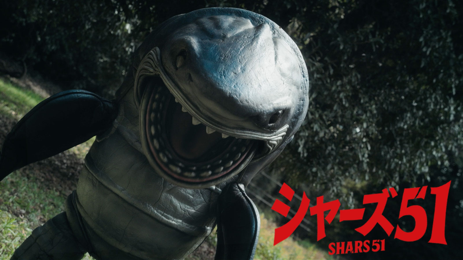 シャーズ51